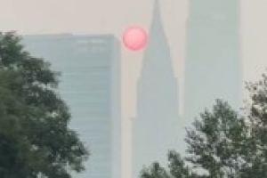 世界杯巴西vs海地直播s4_世界杯巴西vs海地直播在线观看_免费观看世界杯巴西vs海地直播